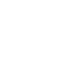 Side Logo Main White